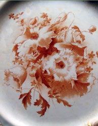 Carlton Ware Blushware Cistus monochrome pattern