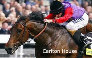 Carlton House racehorse 